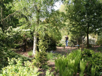 Arboretum D'n Hooidonk
